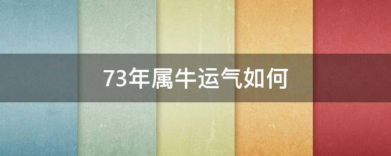 73年属牛运气如何（73年属牛今年运气）