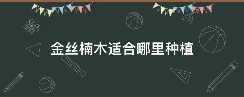 金丝楠木适合哪里种植 金丝楠木适合哪里种植?