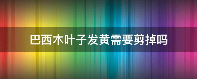 巴西木叶子发黄需要剪掉吗 巴西木叶子发黄可以剪掉吗