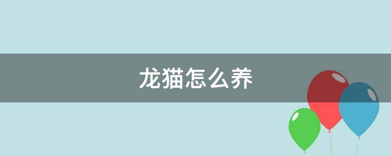 龙猫怎么养 龙猫怎么养粘人