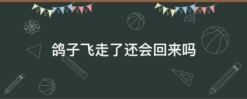 鸽子飞走了还会回来吗 鸽子飞走了还会回来吗?