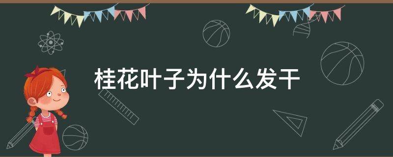 桂花叶子为什么发干 桂花叶片周围变干的原因