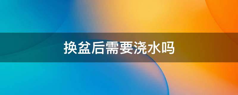 换盆后需要浇水吗 金钻换盆后需要浇水吗