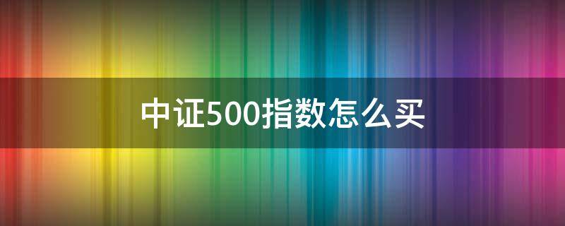 中证500指数怎么买 中证500指数买哪个