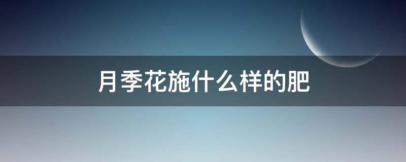 月季花施什么样的肥 盆栽月季花施肥施什么肥料