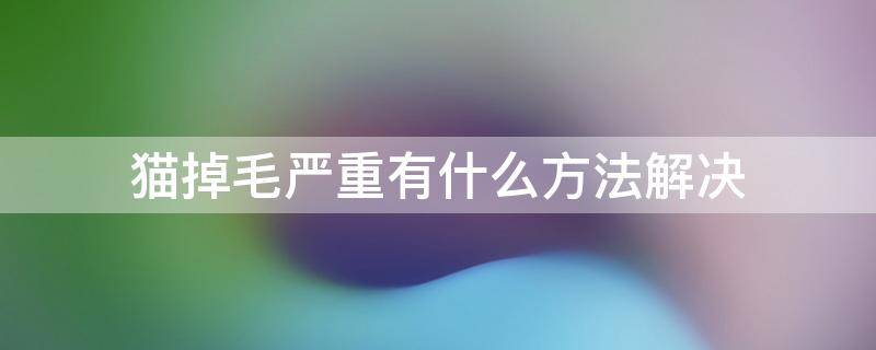 猫掉毛严重有什么方法解决（猫掉毛厉害咋办）