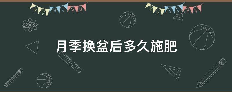 月季换盆后多久施肥 盆栽月季多久换盆