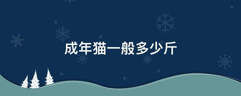 成年猫一般多少斤 成年的猫一般多少斤