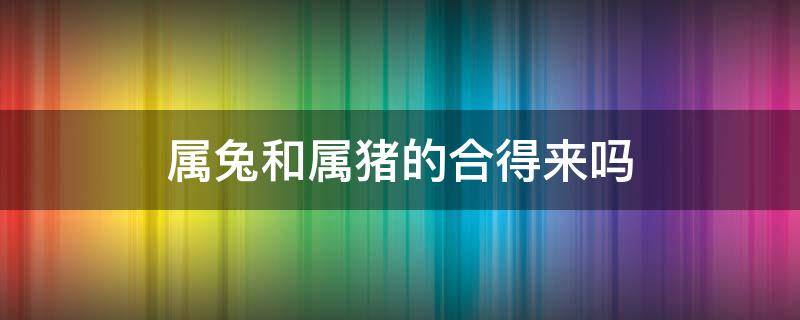 属兔和属猪的合得来吗 属兔的和属猪的合吗