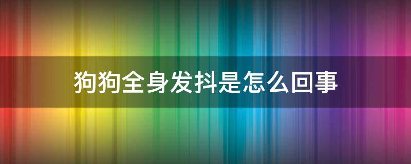 狗狗全身发抖是怎么回事（狗狗全身发抖是怎么回事腿还站不住）