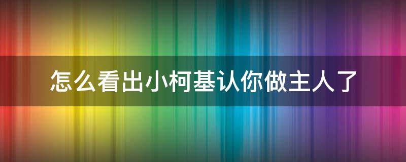 怎么看出小柯基认你做主人了 柯基认主人吗跟主人走吗