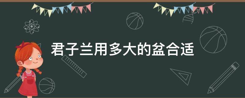 君子兰用多大的盆合适 君子兰一般用多大的盆