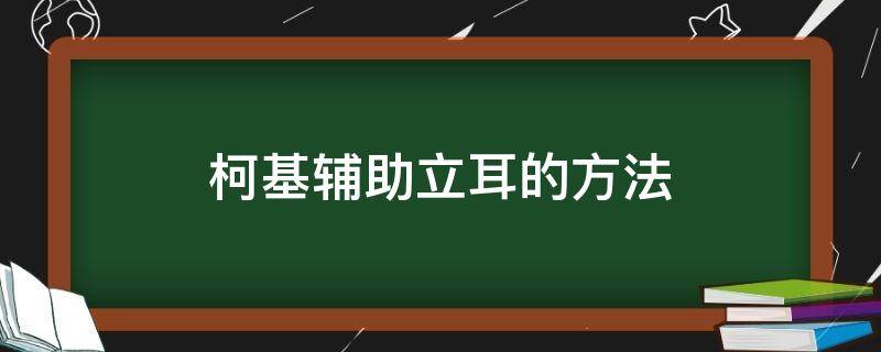 柯基辅助立耳的方法（柯基需要帮助立耳吗）