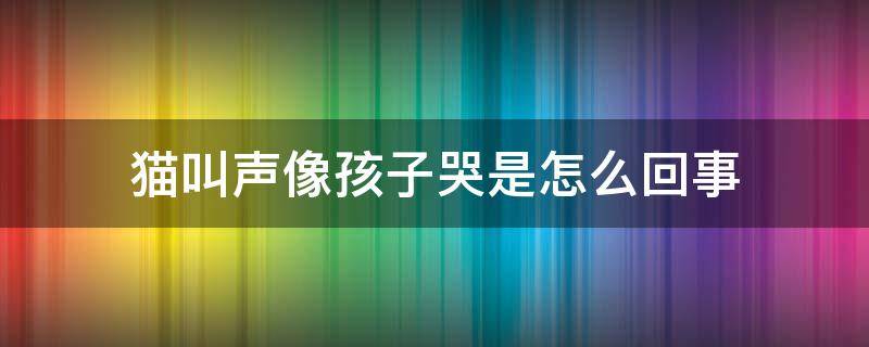 猫叫声像孩子哭是怎么回事 猫的叫声像小孩哭是怎么回事