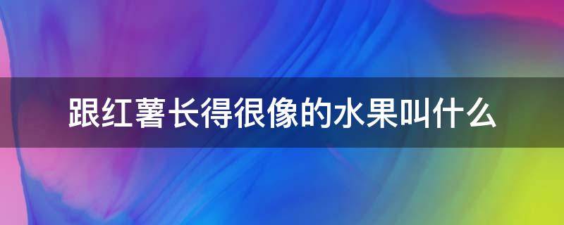 跟红薯长得很像的水果叫什么（长的和红薯一样的水果叫什么名字）