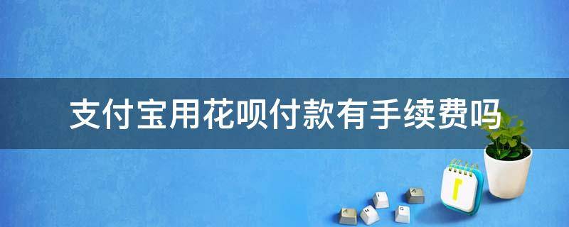 支付宝用花呗付款有手续费吗（使用支付宝花呗有手续费吗）