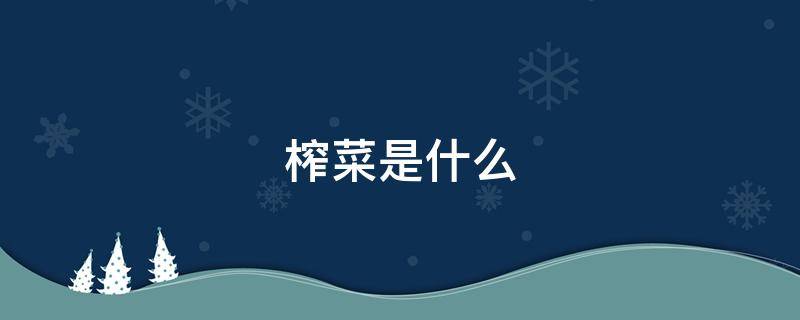 榨菜是什么 榨菜是什么植物