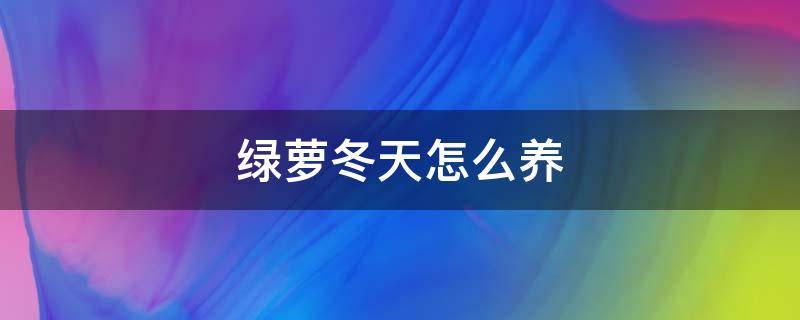 绿萝冬天怎么养（绿萝冬天怎么养才能更旺盛）