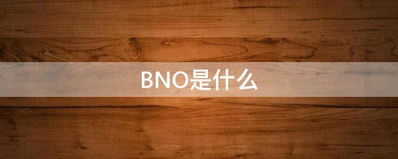 BNO是什么（香港去英国的BNO是什么）