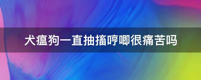 犬瘟狗一直抽搐哼唧很痛苦吗 狗狗得了犬瘟一直抽搐不停