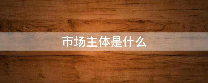 市场主体是什么（服务业市场主体是什么）