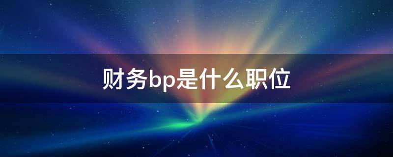 财务bp是什么职位 公司财务bp是什么职位