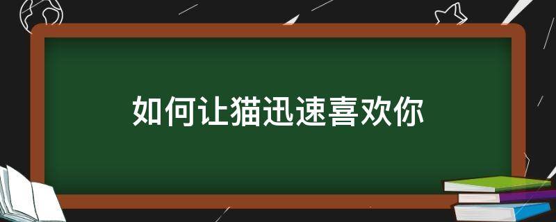 如何让猫迅速喜欢你（怎样让猫快速喜欢你）