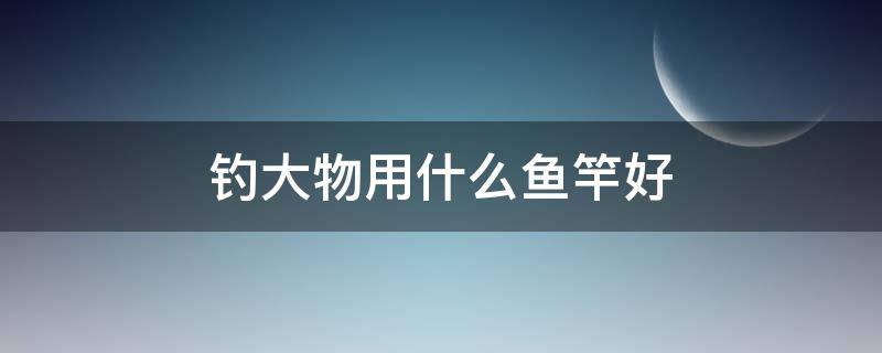 钓大物用什么鱼竿好（钓鱼大物竿推荐）
