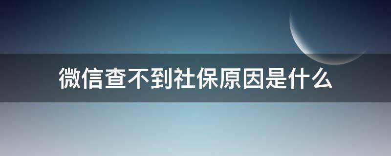 微信查不到社保原因是什么 微信里查不了社保是什么原因