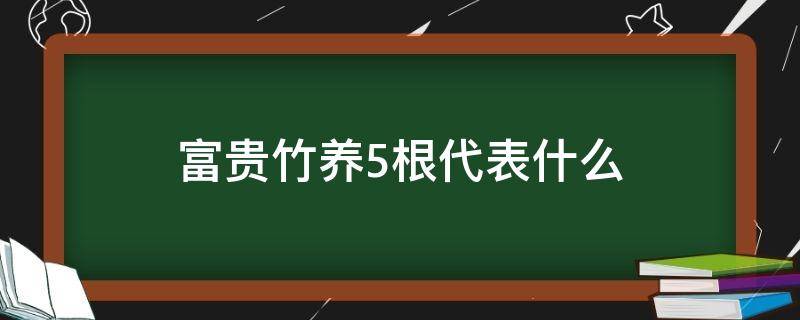 富贵竹养5根代表什么（富贵竹养5根是啥意思?）