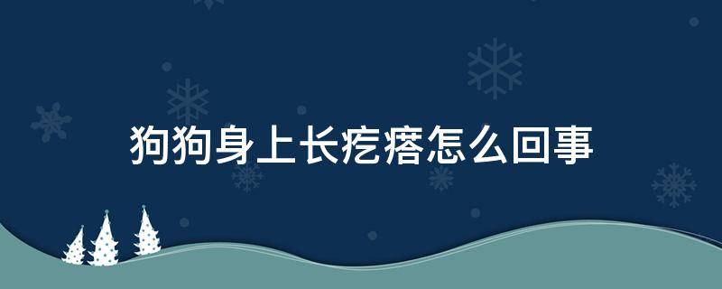 狗狗身上长疙瘩怎么回事 狗狗身上长了疙瘩怎么办