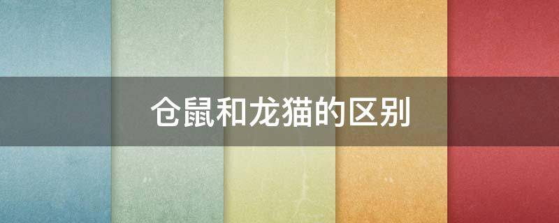 仓鼠和龙猫的区别（仓鼠还是龙猫）
