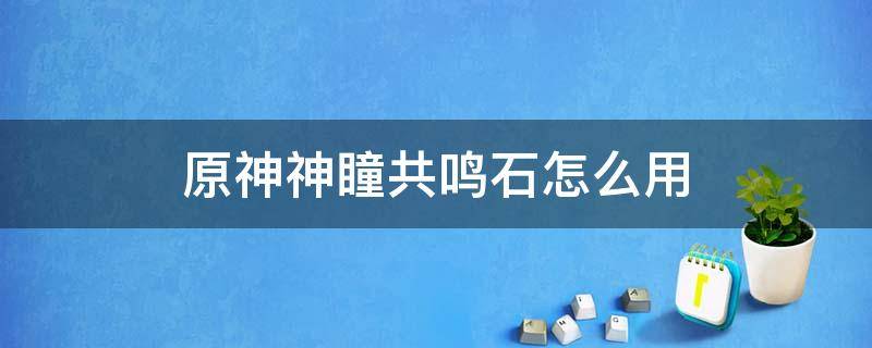 原神神瞳共鸣石怎么用 原神神瞳共鸣石有用吗