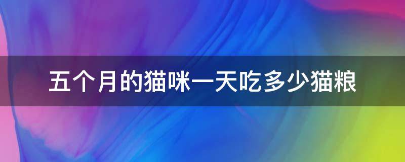五个月的猫咪一天吃多少猫粮 5个月的猫咪一天吃多少猫粮