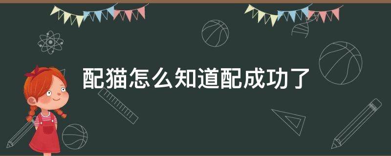 配猫怎么知道配成功了 猫怎样是配成功了