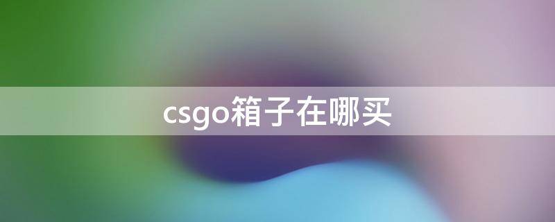 csgo箱子在哪买（csgo箱子在哪买比较好）