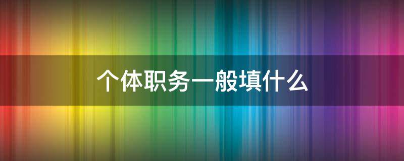 个体职务一般填什么（个体经营职务一般填什么）