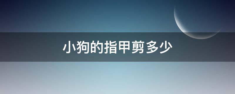 小狗的指甲剪多少 狗狗指甲剪多少