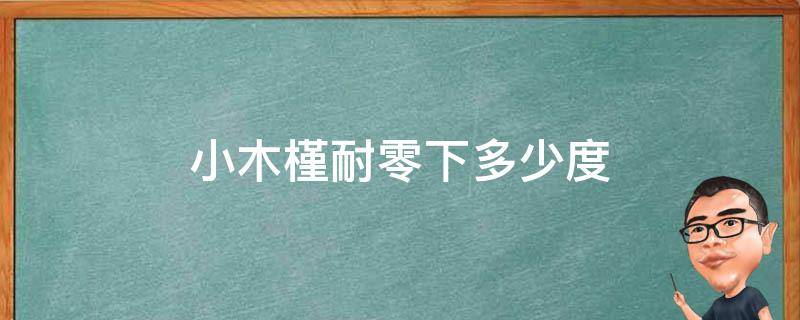 小木槿耐零下多少度 小木槿耐寒多少度耐热多少度