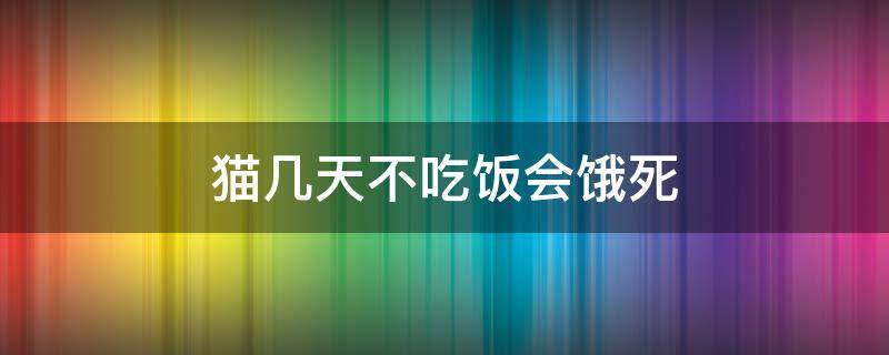 猫几天不吃饭会饿死（一个月的猫几天不吃饭会饿死）