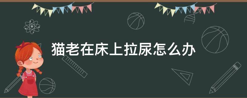 猫老在床上拉尿怎么办 猫老是去床上拉尿怎么办