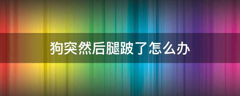 狗突然后腿跛了怎么办（狗跛腿怎么回事）