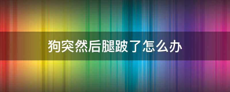 狗突然后腿跛了怎么办（狗跛腿怎么回事）