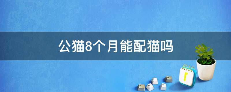 公猫8个月能配猫吗（公猫8个月可以配么）