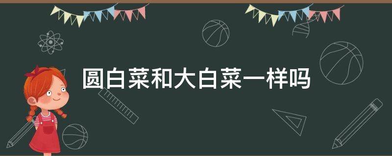 圆白菜和大白菜一样吗（圆白菜跟大白菜的区别）