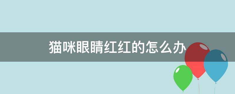 猫咪眼睛红红的怎么办 猫咪有个眼睛红红的怎么办