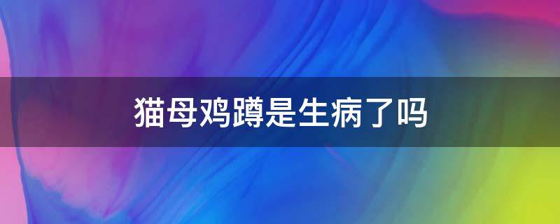 猫母鸡蹲是生病了吗（猫母鸡蹲是怎么回事）