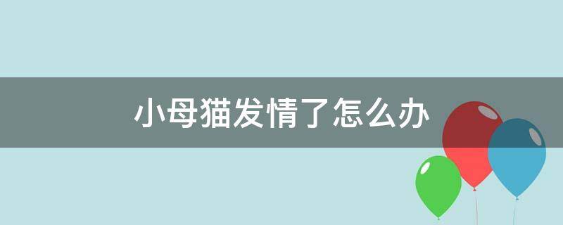 小母猫发情了怎么办 用了棉签后猫咪能安静多久