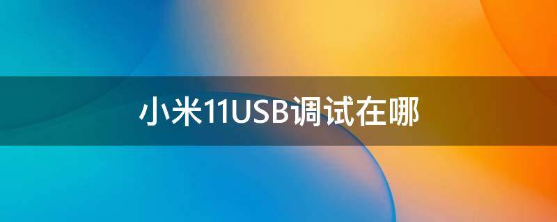 小米11USB调试在哪 小米11usb调试模式怎么打开