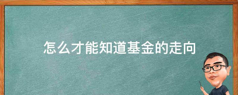 怎么才能知道基金的走向（基金怎么看走向）